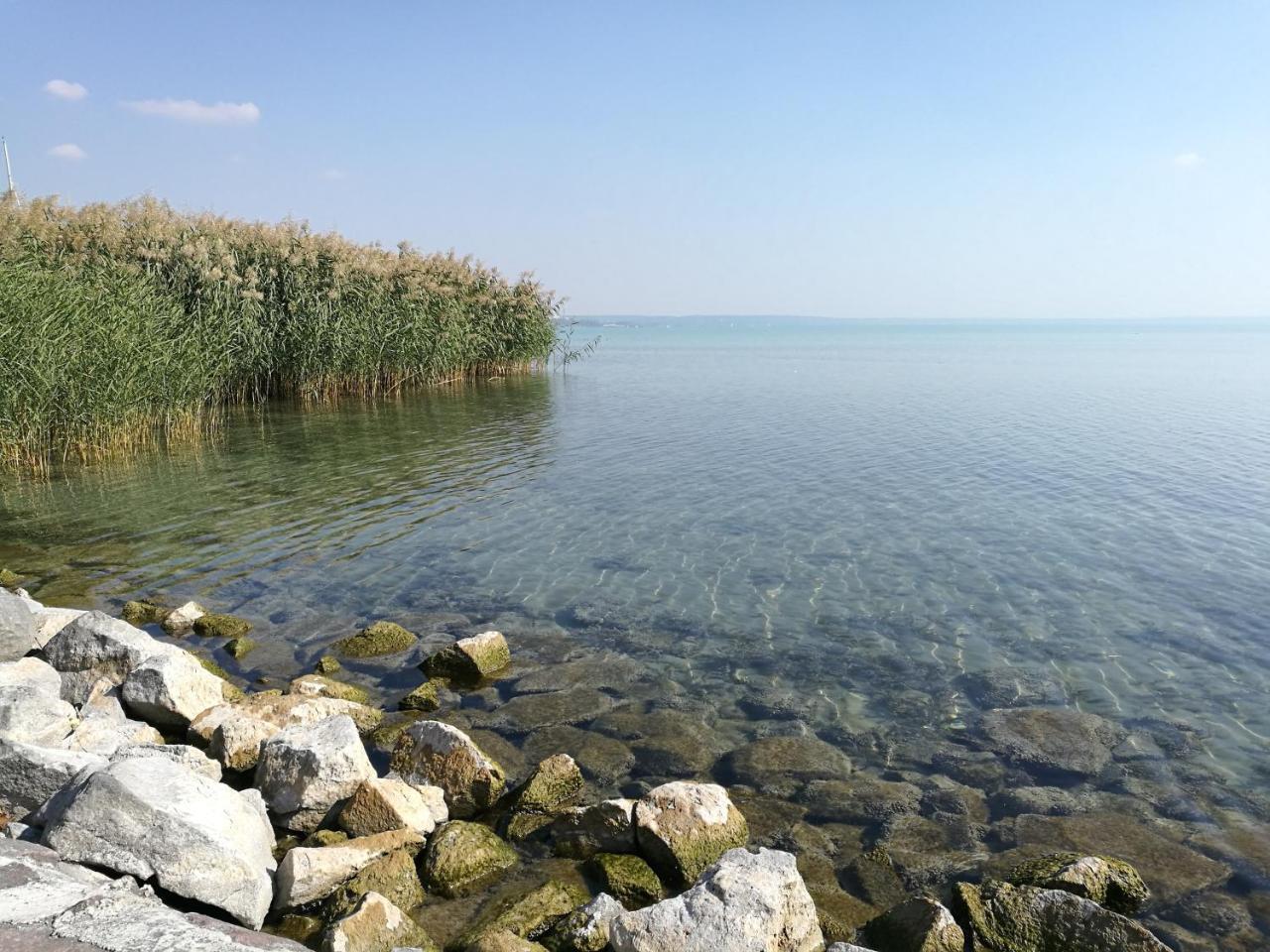 Bf Hotel Balatonfoldvar Bagian luar foto